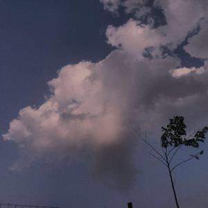 18禁漫画网站免费
